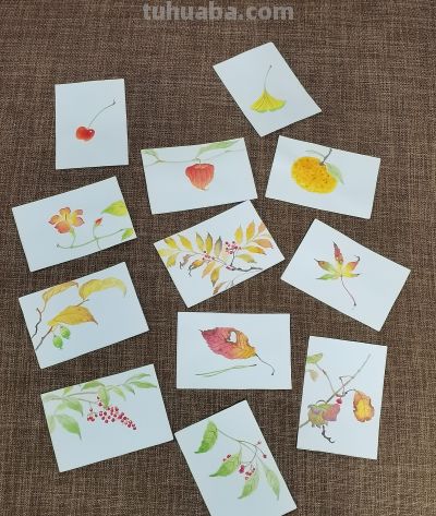 绘画 | 水彩 | 果花甘06 - 今日头条 绘画 | 水彩 | 果花甘06 - 图画吧TUHUABA