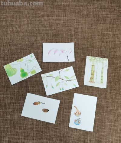 绘画 | 水彩 | 果花甘06 - 今日头条 绘画 | 水彩 | 果花甘06 - 图画吧TUHUABA