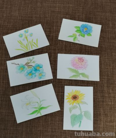 绘画 | 水彩 | 果花甘06 - 今日头条 绘画 | 水彩 | 果花甘06 - 图画吧TUHUABA