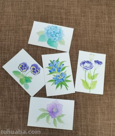 绘画 | 水彩 | 果花甘06 - 今日头条 绘画 | 水彩 | 果花甘06 - 图画吧TUHUABA