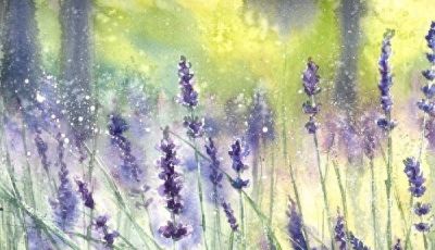 繁花 · 水彩 | Malgorzata Szczecinska ​​​ - 今日头条