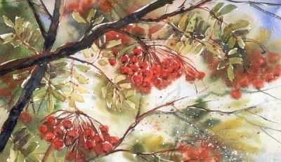 繁花 · 水彩 | Malgorzata Szczecinska ​​​ - 图画吧TUHUABA