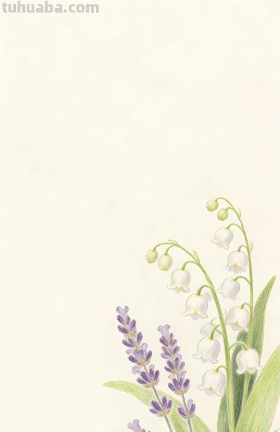 用彩铅描绘的秘密花园 - 图画吧TUHUABA