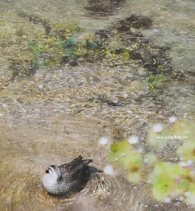 水彩画，渡部政人 - 图画吧TUHUABA