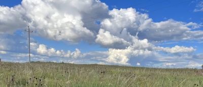 孙洪利油画《云驹越野》｜草原苍穹下的精神图腾 - 图画吧TUHUABA