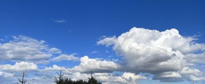 孙洪利油画《云驹越野》｜草原苍穹下的精神图腾 - 图画吧TUHUABA