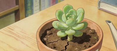 萌肉缀盆的治愈旺运！多肉花语+适配人群+懒人妙招 - 图画吧TUHUABA