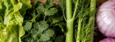 公认“最干净”的10种蔬菜!全程无药,家里有老人小孩的优先吃 - 今日头条 公认“最干净”的10种蔬菜!全程无药,家里有老人小孩的优先吃 - 图画吧TUHUABA