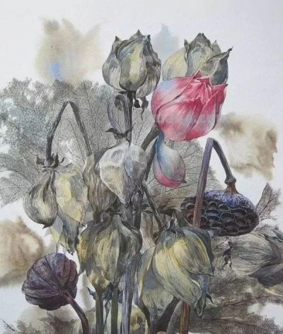 水彩画中的留白技法:多元表现与突破性启示 - 今日头条 水彩画中的留白技法:多元表现与突破性启示 - 图画吧TUHUABA