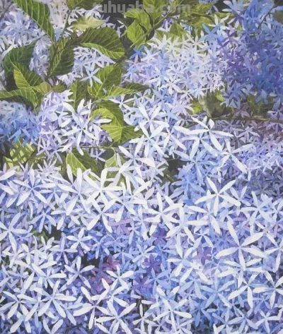 水彩画中的留白技法:多元表现与突破性启示 - 今日头条 水彩画中的留白技法:多元表现与突破性启示 - 图画吧TUHUABA