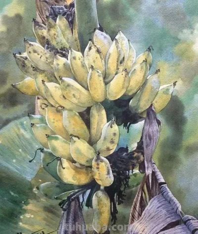 水彩画中的留白技法:多元表现与突破性启示 - 今日头条 水彩画中的留白技法:多元表现与突破性启示 - 图画吧TUHUABA