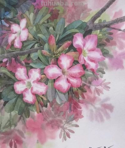 水彩画中的留白技法:多元表现与突破性启示 - 今日头条 水彩画中的留白技法:多元表现与突破性启示 - 图画吧TUHUABA