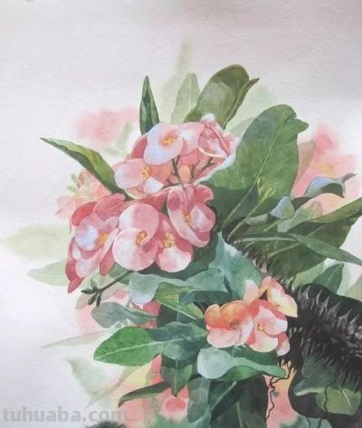 水彩画中的留白技法:多元表现与突破性启示 - 今日头条 水彩画中的留白技法:多元表现与突破性启示 - 图画吧TUHUABA