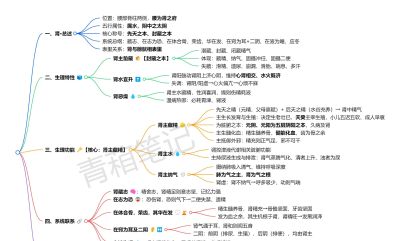 系统学中基03｜藏象（思维导图可打印） - 图画吧TUHUABA