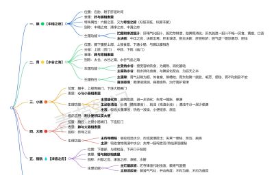 系统学中基03｜藏象（思维导图可打印） - 图画吧TUHUABA