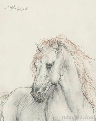 庞茂琨先生,以“生肖”为主题的素描作品 - 今日头条 庞茂琨先生,以“生肖”为主题的素描作品 - 图画吧TUHUABA