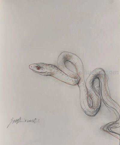 庞茂琨先生,以“生肖”为主题的素描作品 - 今日头条 庞茂琨先生,以“生肖”为主题的素描作品 - 图画吧TUHUABA