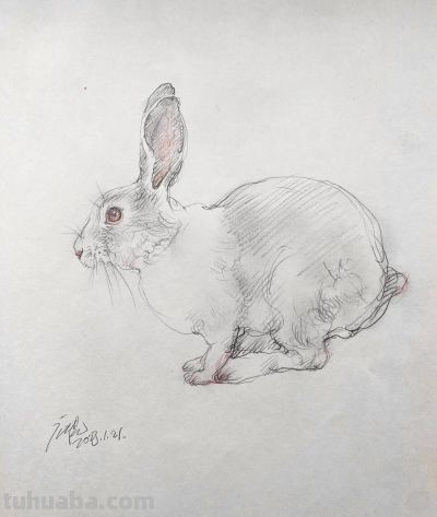 庞茂琨先生,以“生肖”为主题的素描作品 - 今日头条 庞茂琨先生,以“生肖”为主题的素描作品 - 图画吧TUHUABA