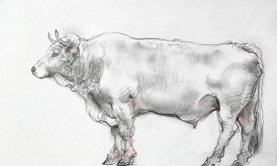 庞茂琨先生,以“生肖”为主题的素描作品 - 今日头条 庞茂琨先生,以“生肖”为主题的素描作品 - 图画吧TUHUABA