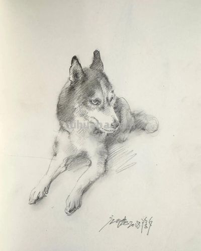 庞茂琨先生,以“生肖”为主题的素描作品 - 今日头条 庞茂琨先生,以“生肖”为主题的素描作品 - 图画吧TUHUABA