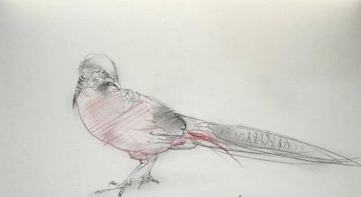 庞茂琨先生,以“生肖”为主题的素描作品 - 今日头条 庞茂琨先生,以“生肖”为主题的素描作品 - 图画吧TUHUABA