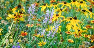 色彩与情感 - 图画吧TUHUABA