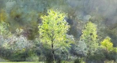 戴艺强·水彩写生 ｜ 水色之间，心象万千 - 图画吧TUHUABA