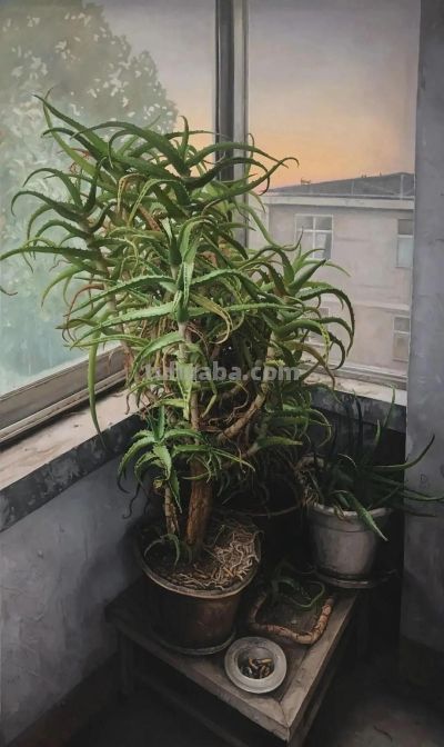 2025年第八届全国青年美展 | 油画作品选刊 - 图画吧TUHUABA