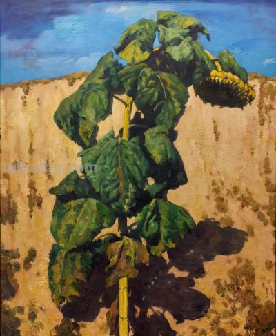 杨尧教授“写实与写意的变奏”油画28幅欣赏 - 图画吧TUHUABA