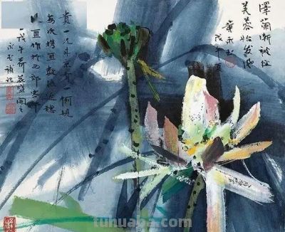 黄永玉：八千张速写炼成“荷痴”，他笔下的荷花为何令人过目不忘 - 图画吧TUHUABA