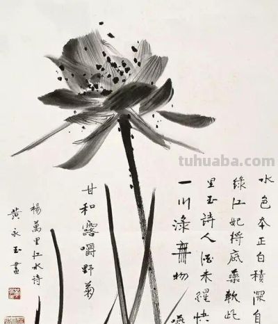 黄永玉：八千张速写炼成“荷痴”，他笔下的荷花为何令人过目不忘 - 图画吧TUHUABA