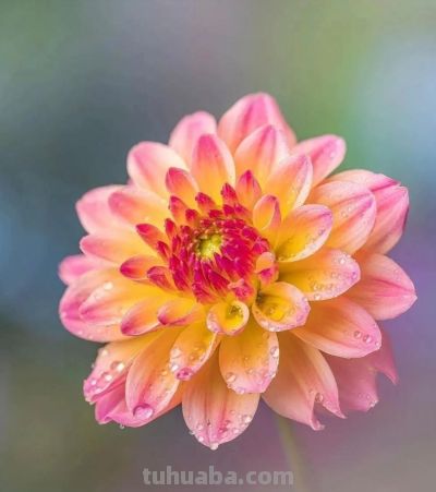 别浪费手机大光圈!这几个技巧让你秒变摄影大师 - 今日头条 别浪费手机大光圈!这几个技巧让你秒变摄影大师 - 图画吧TUHUABA