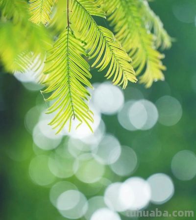 别浪费手机大光圈!这几个技巧让你秒变摄影大师 - 今日头条 别浪费手机大光圈!这几个技巧让你秒变摄影大师 - 图画吧TUHUABA