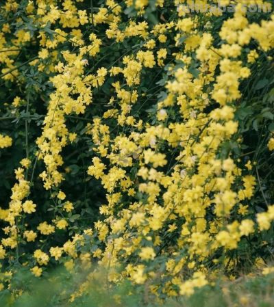 别浪费手机大光圈!这几个技巧让你秒变摄影大师 - 今日头条 别浪费手机大光圈!这几个技巧让你秒变摄影大师 - 图画吧TUHUABA