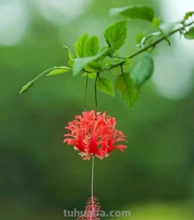 别浪费手机大光圈!这几个技巧让你秒变摄影大师 - 今日头条 别浪费手机大光圈!这几个技巧让你秒变摄影大师 - 图画吧TUHUABA