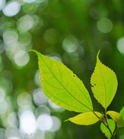 别浪费手机大光圈!这几个技巧让你秒变摄影大师 - 今日头条 别浪费手机大光圈!这几个技巧让你秒变摄影大师 - 图画吧TUHUABA