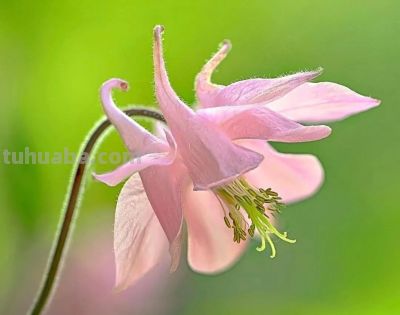 别浪费手机大光圈!这几个技巧让你秒变摄影大师 - 今日头条 别浪费手机大光圈!这几个技巧让你秒变摄影大师 - 图画吧TUHUABA