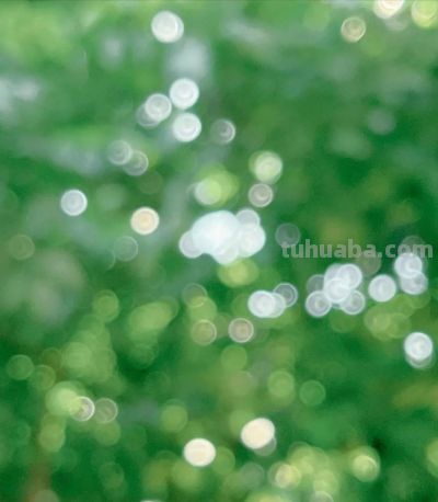 别浪费手机大光圈!这几个技巧让你秒变摄影大师 - 今日头条 别浪费手机大光圈!这几个技巧让你秒变摄影大师 - 图画吧TUHUABA