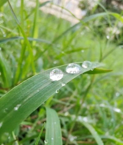 手机摄影最适合新手的三个特殊拍摄技巧，摄影高手不外传的秘密 - 图画吧TUHUABA