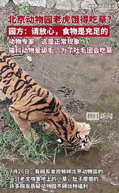 手机摄影有哪些冷门小技巧 - 今日头条 手机摄影有哪些冷门小技巧 - 图画吧TUHUABA