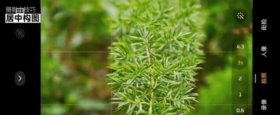 手机摄影构图小技巧！这样拍更出片！ #手机摄影技巧 - 图画吧TUHUABA