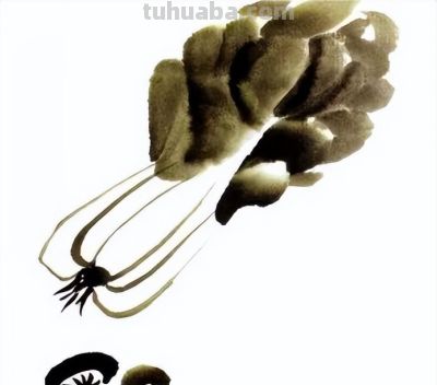 技法 | 轻松学画写意蔬菜:白菜、辣椒画法 - 今日头条 技法 | 轻松学画写意蔬菜:白菜、辣椒画法 - 图画吧TUHUABA