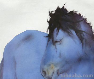 长海｜草原与生命的交织——我的水彩画创作之路 - 图画吧TUHUABA