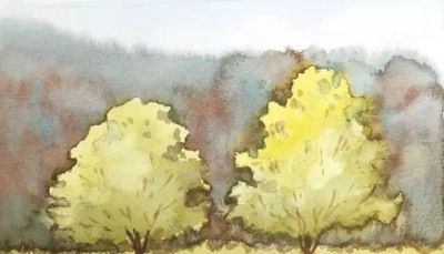 水彩湿画法讲解：好学又好看的水彩花卉教程 - 图画吧TUHUABA