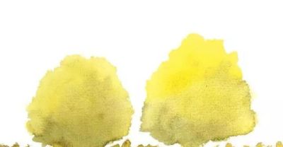 水彩湿画法讲解：好学又好看的水彩花卉教程 - 图画吧TUHUABA