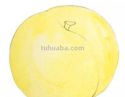 水彩湿画法讲解：好学又好看的水彩花卉教程 - 图画吧TUHUABA