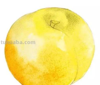 水彩湿画法讲解：好学又好看的水彩花卉教程 - 图画吧TUHUABA