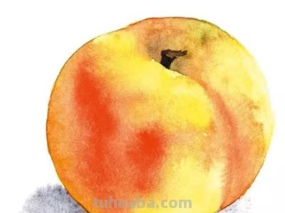 水彩湿画法讲解：好学又好看的水彩花卉教程 - 图画吧TUHUABA