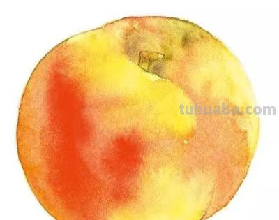 水彩湿画法讲解：好学又好看的水彩花卉教程 - 图画吧TUHUABA