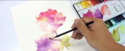 水彩湿画法讲解：好学又好看的水彩花卉教程 - 图画吧TUHUABA